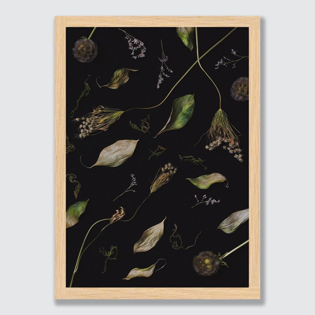 Dionysus Photographic Print by Maegan McDowell