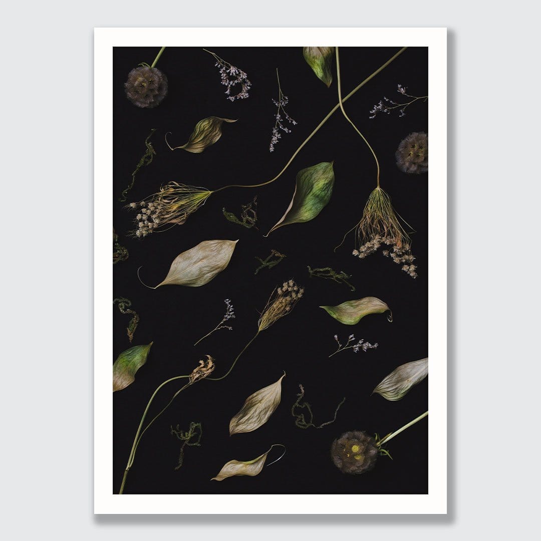 Dionysus Photographic Print by Maegan McDowell