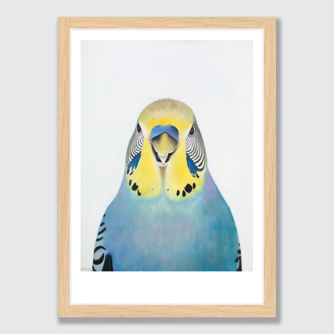 Edgar Budgie Art Print by Margaret Petchell