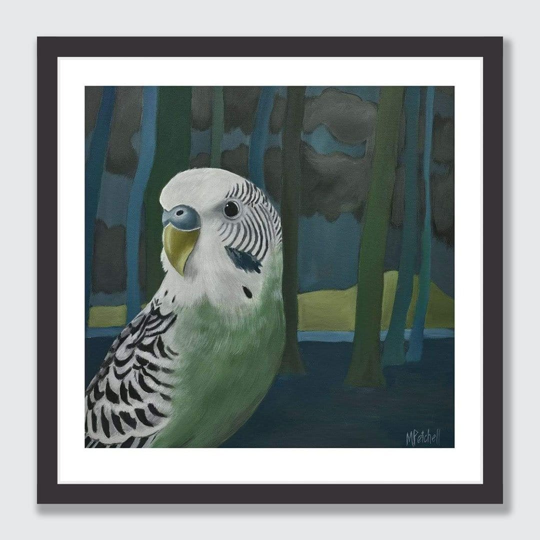 Ethyl Budgie Art Print by Margaret Petchell