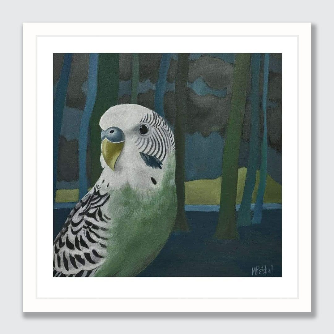 Ethyl Budgie Art Print by Margaret Petchell