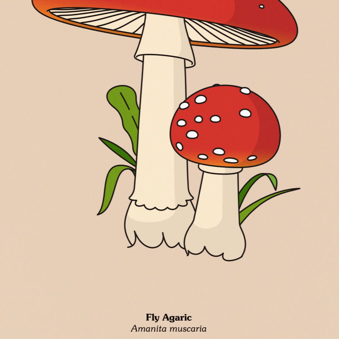 Fly Agaric Art Print by Emile Holmewood