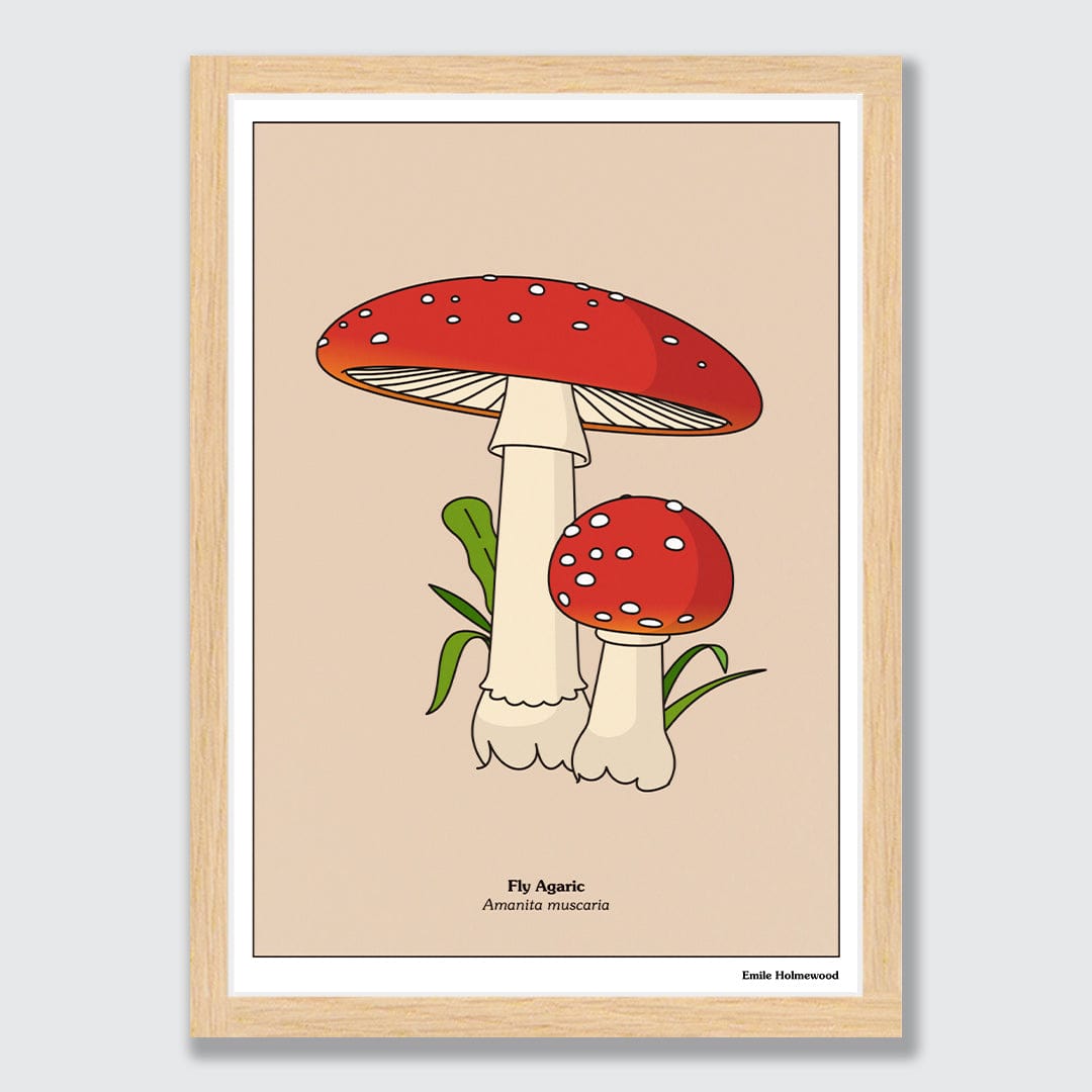 Fly Agaric Art Print by Emile Holmewood