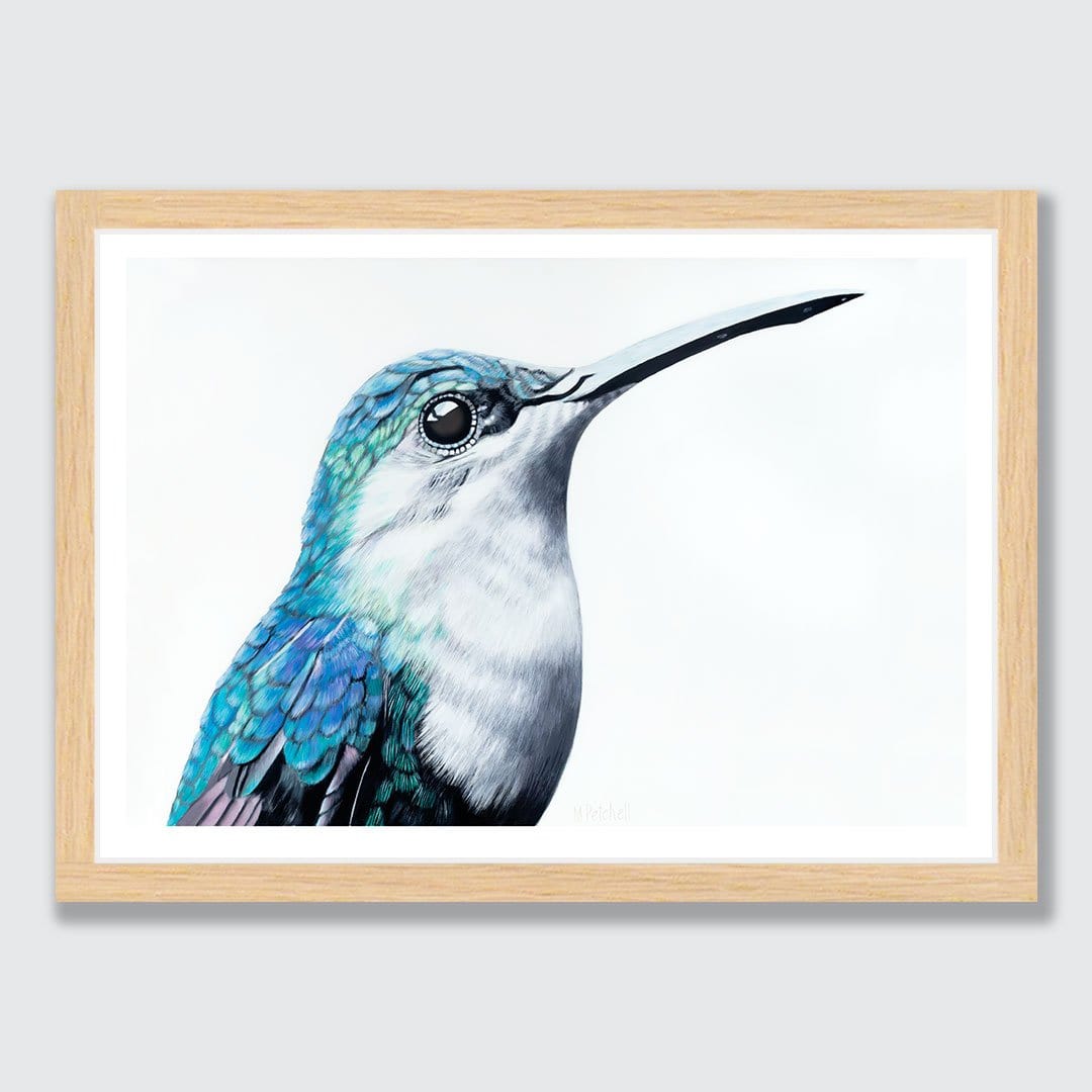 Gerald Hummingbird Art Print by Margaret Petchell