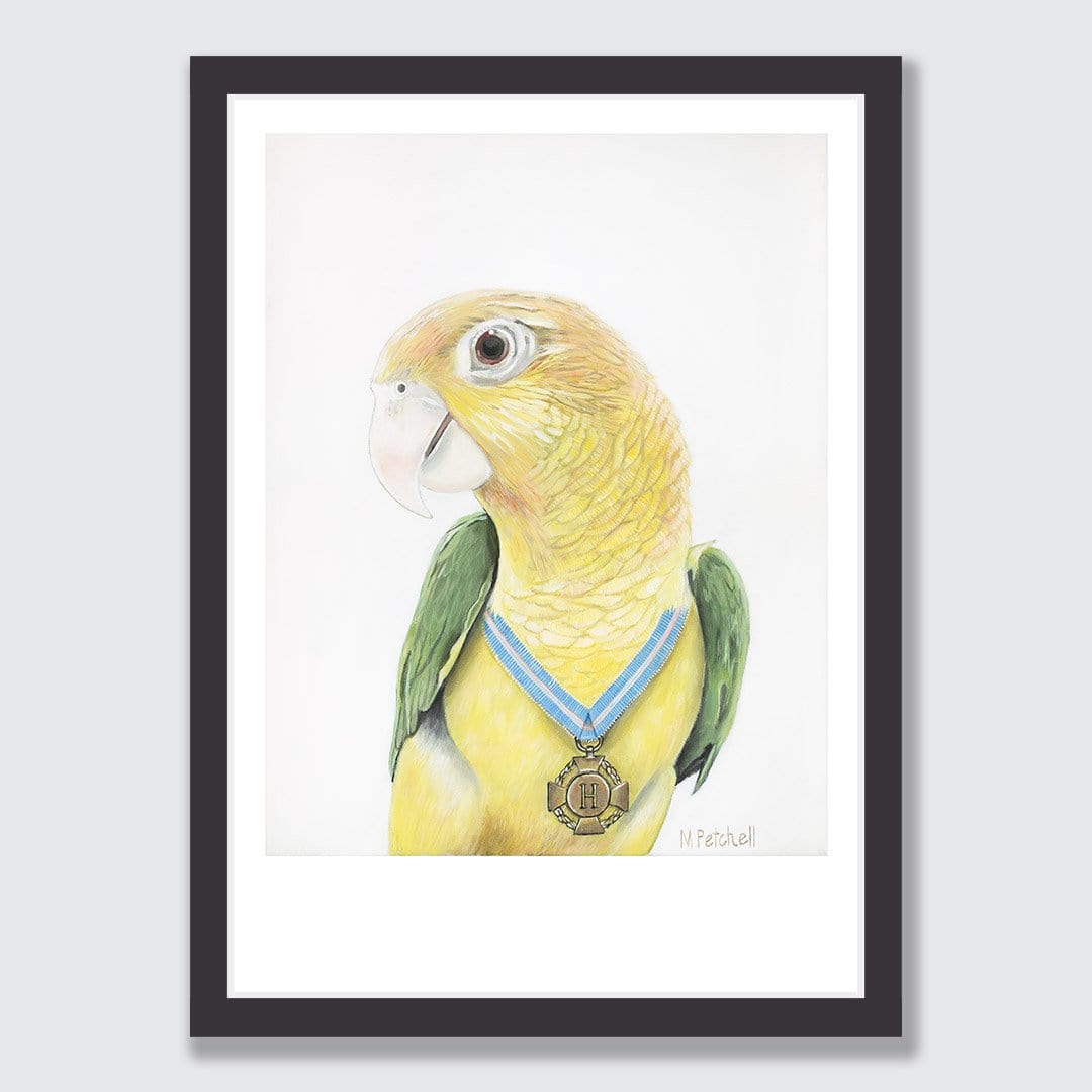 Hendrikse Parrot Art Print by Margaret Petchell