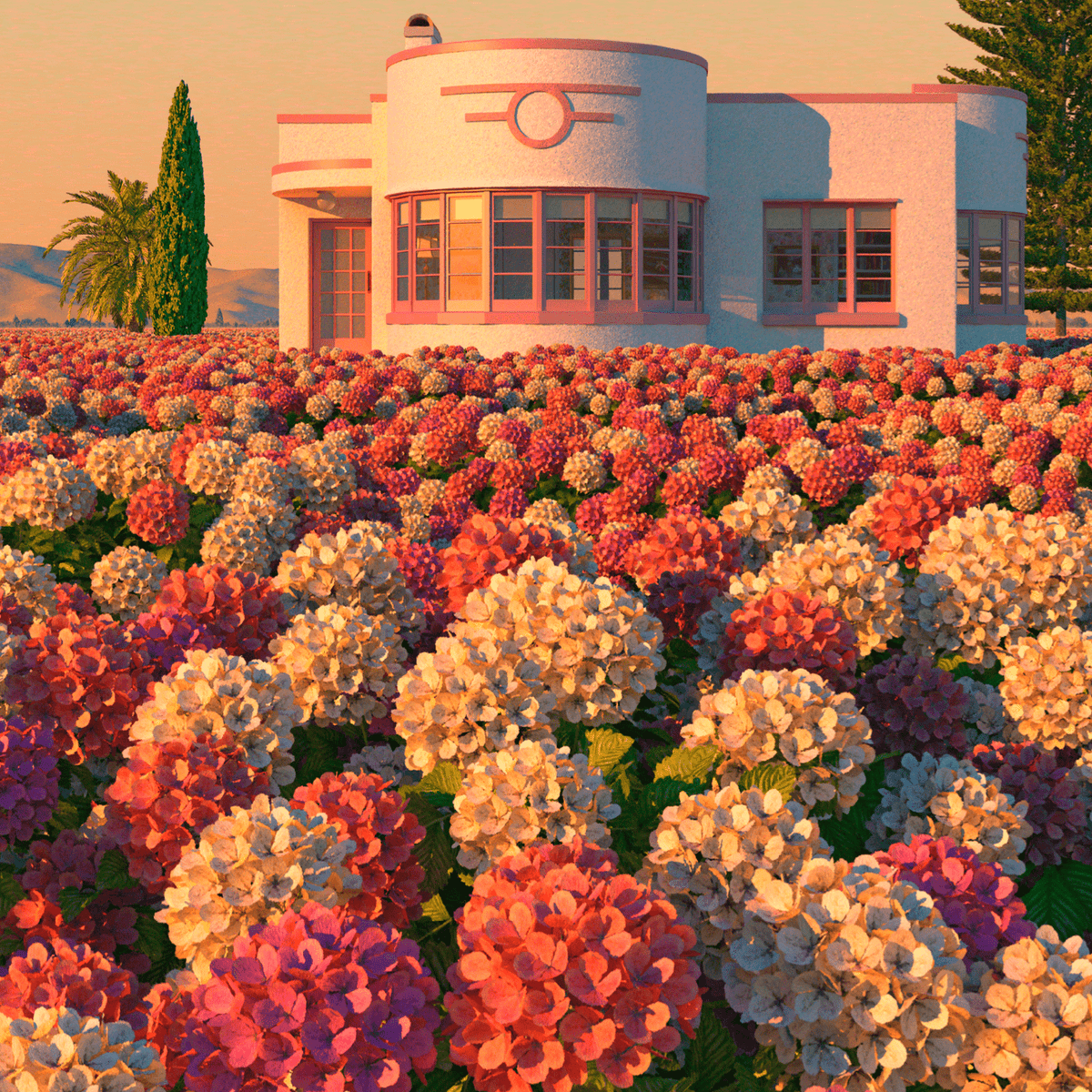Hydrangea Valley Limited Edition Canvas Print by Simon Stockley