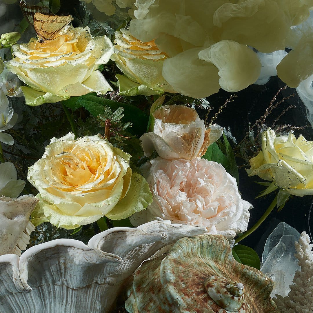 Immersed Still Life Photographic Print by Georgie Malyon
