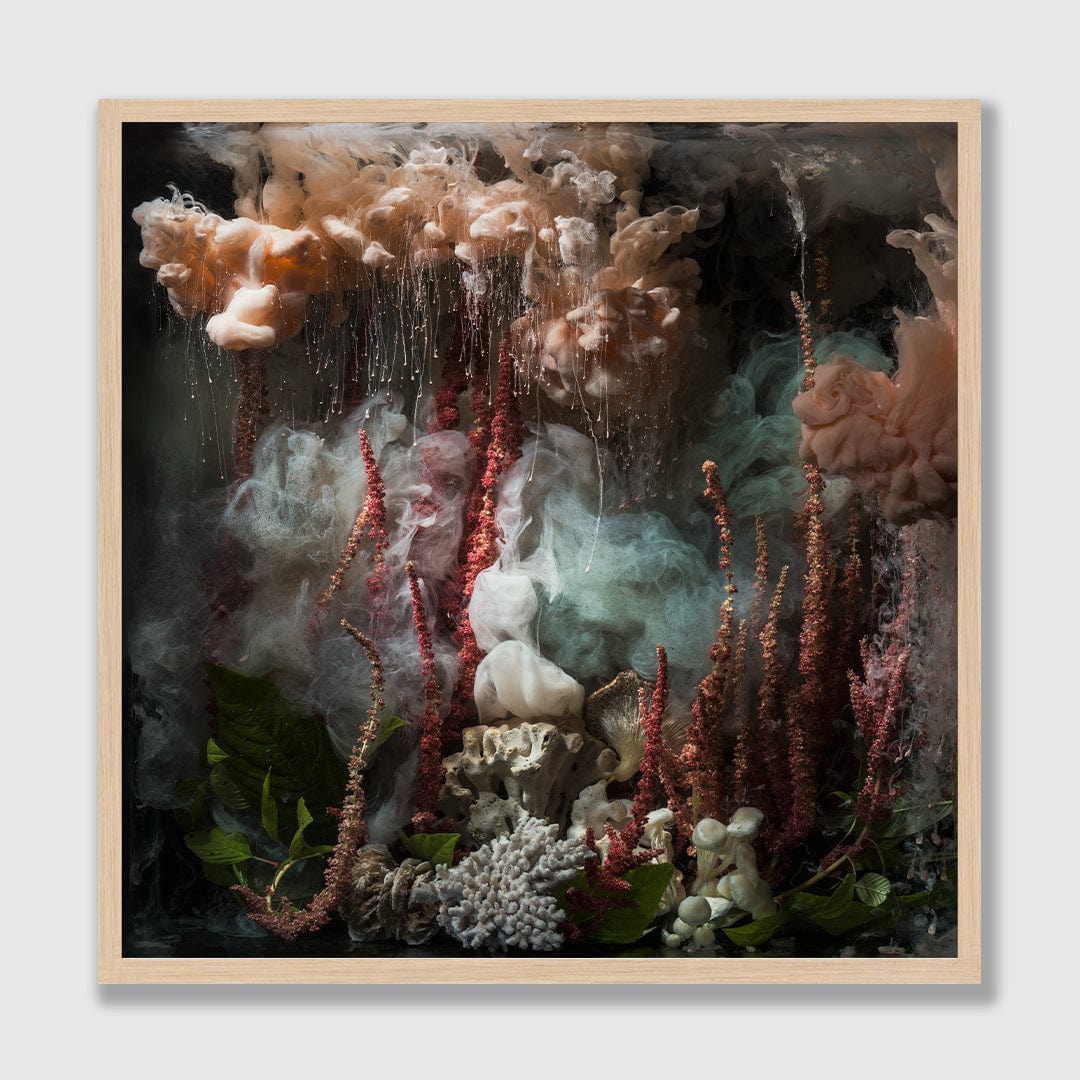 Love Lies & Coral Photographic Print by Georgie Malyon