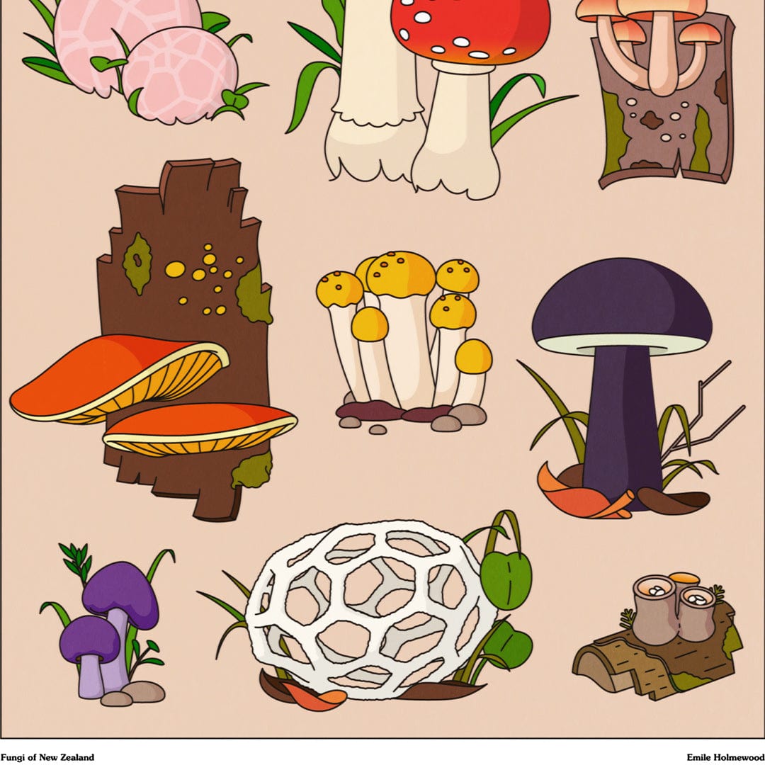 Mushrooms of NZ Art Print by Emile Holmewood