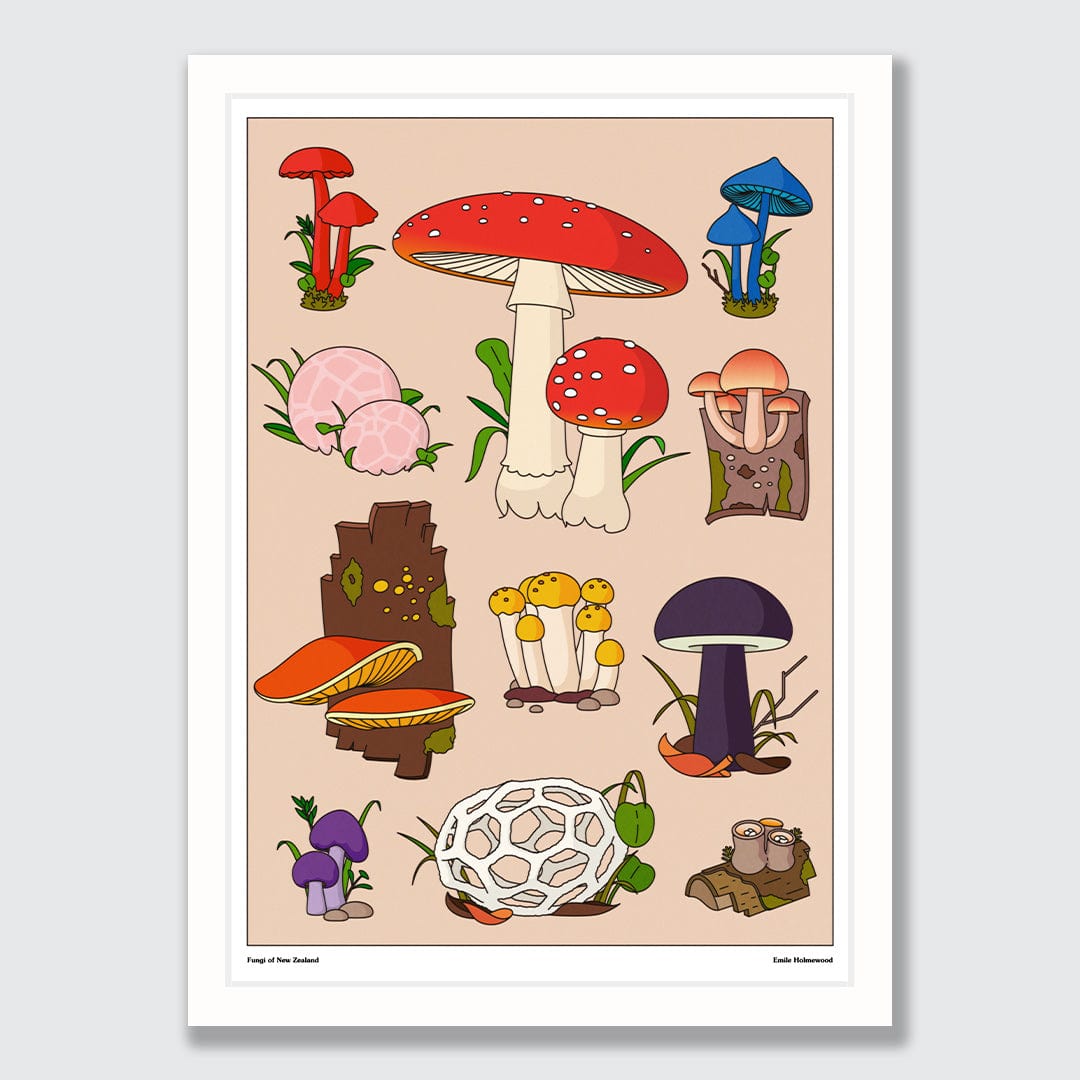 Mushrooms of NZ Art Print by Emile Holmewood