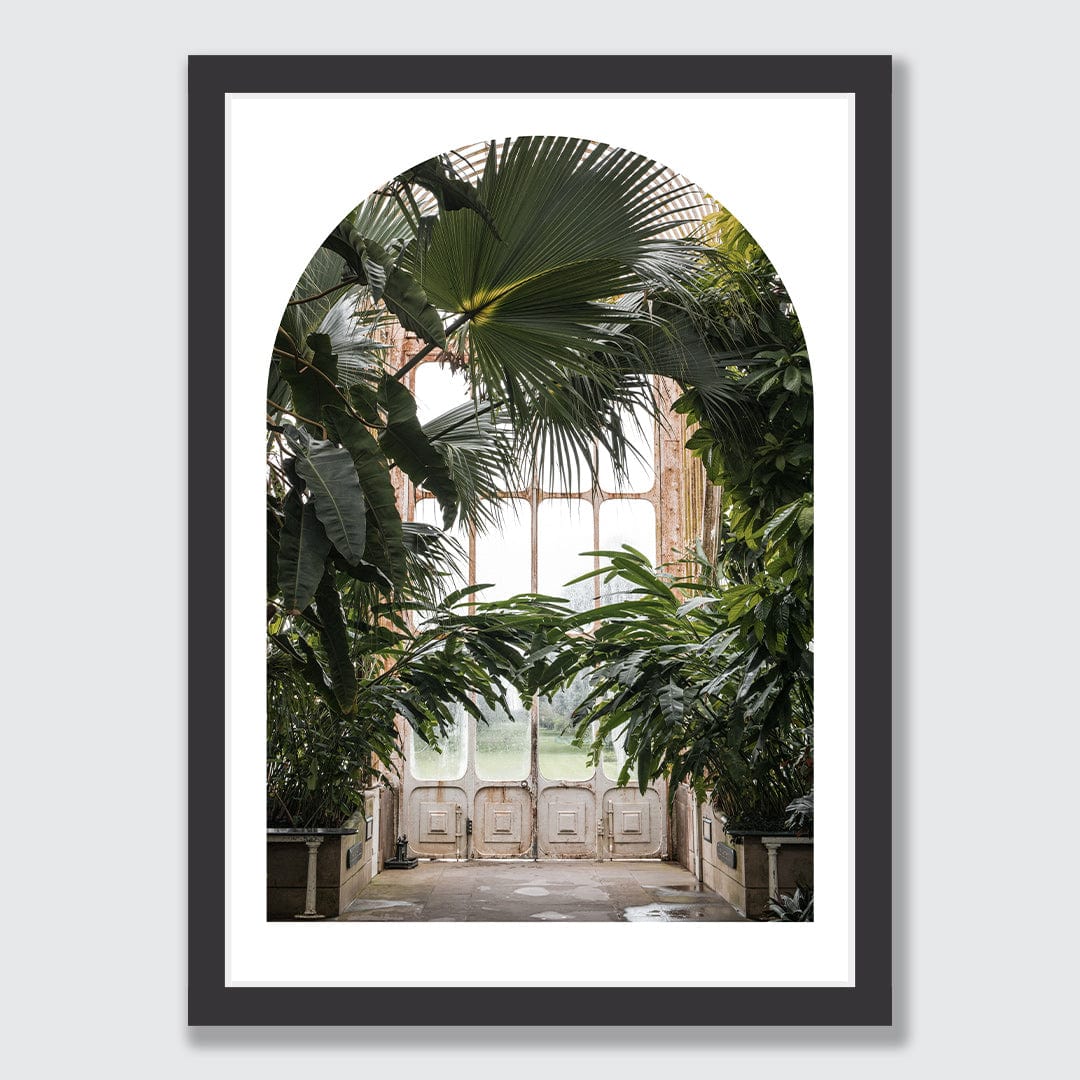 Palm Photographic Print by Amy Wybrow