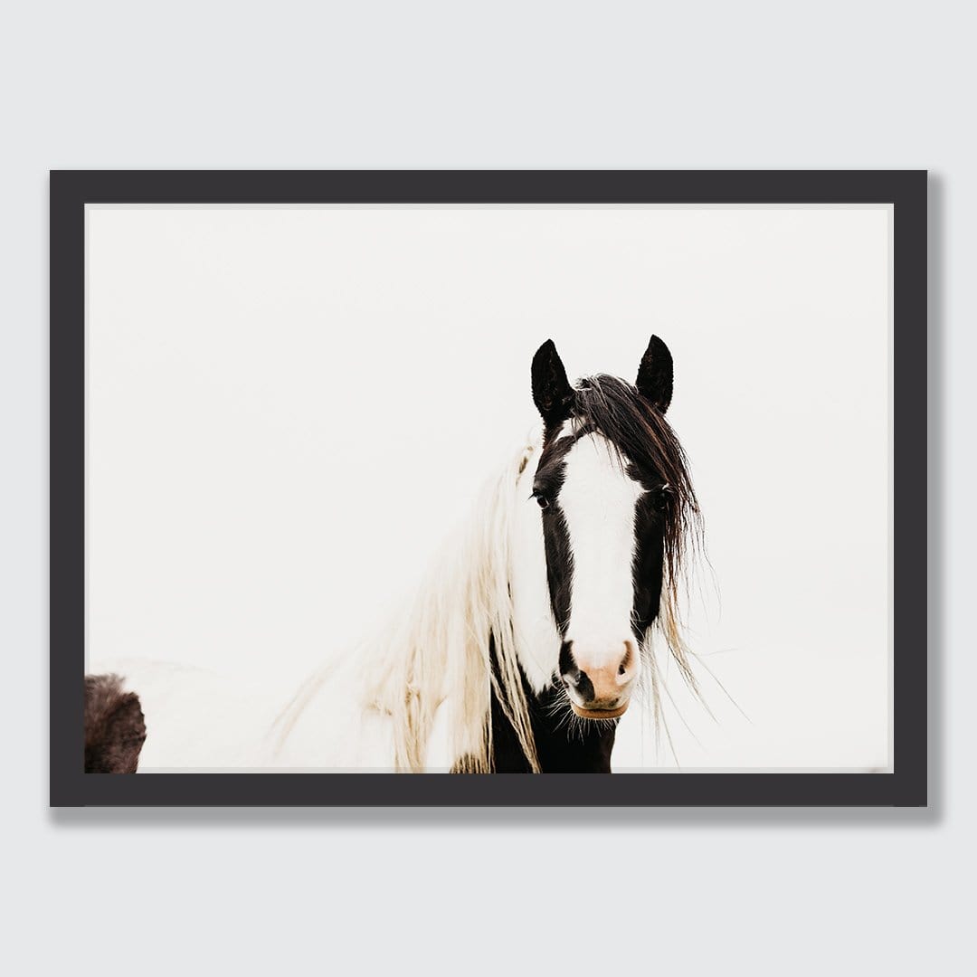 Pinto Horse Photographic Print by Emma Willetts