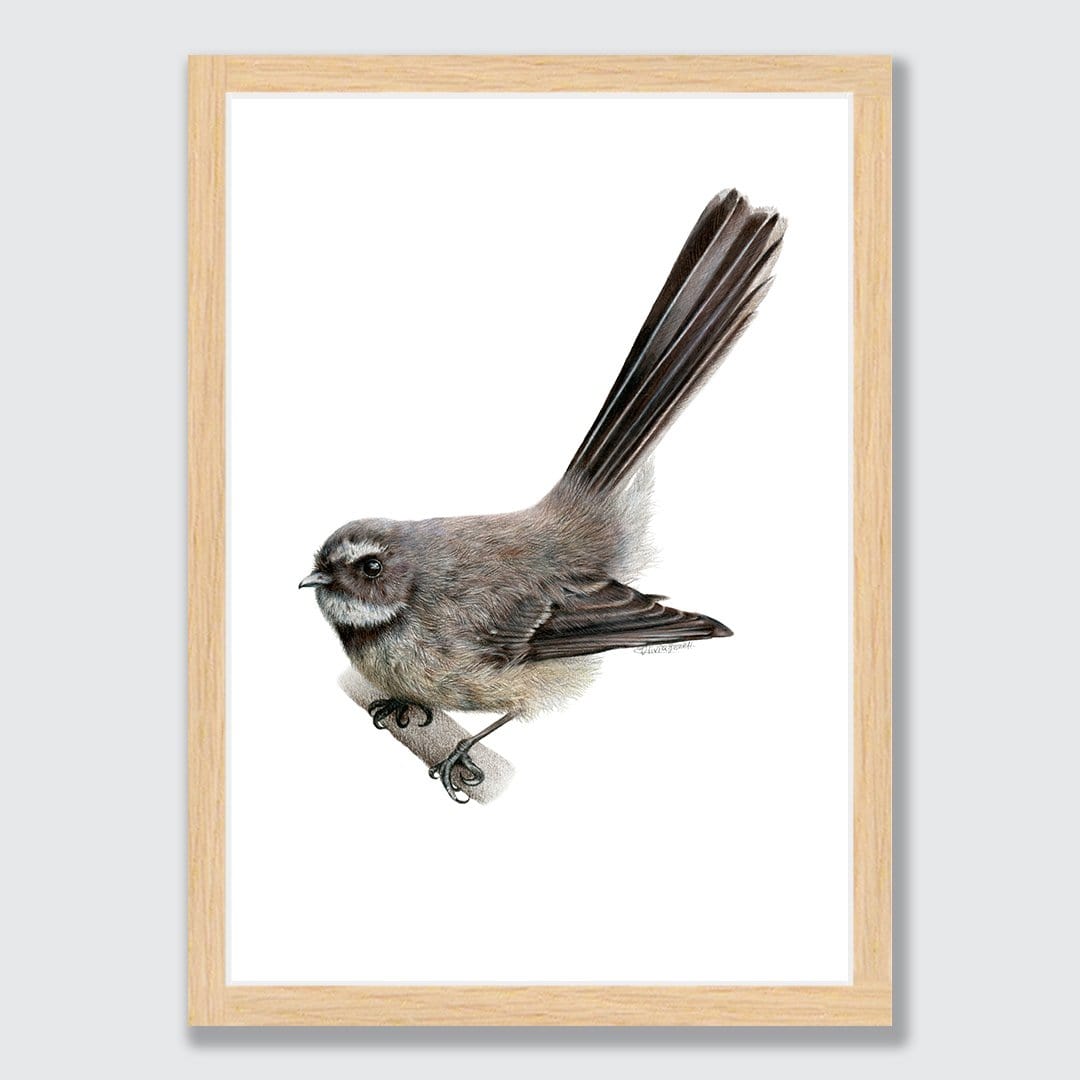 Fantail Art Print by Olivia Bezett