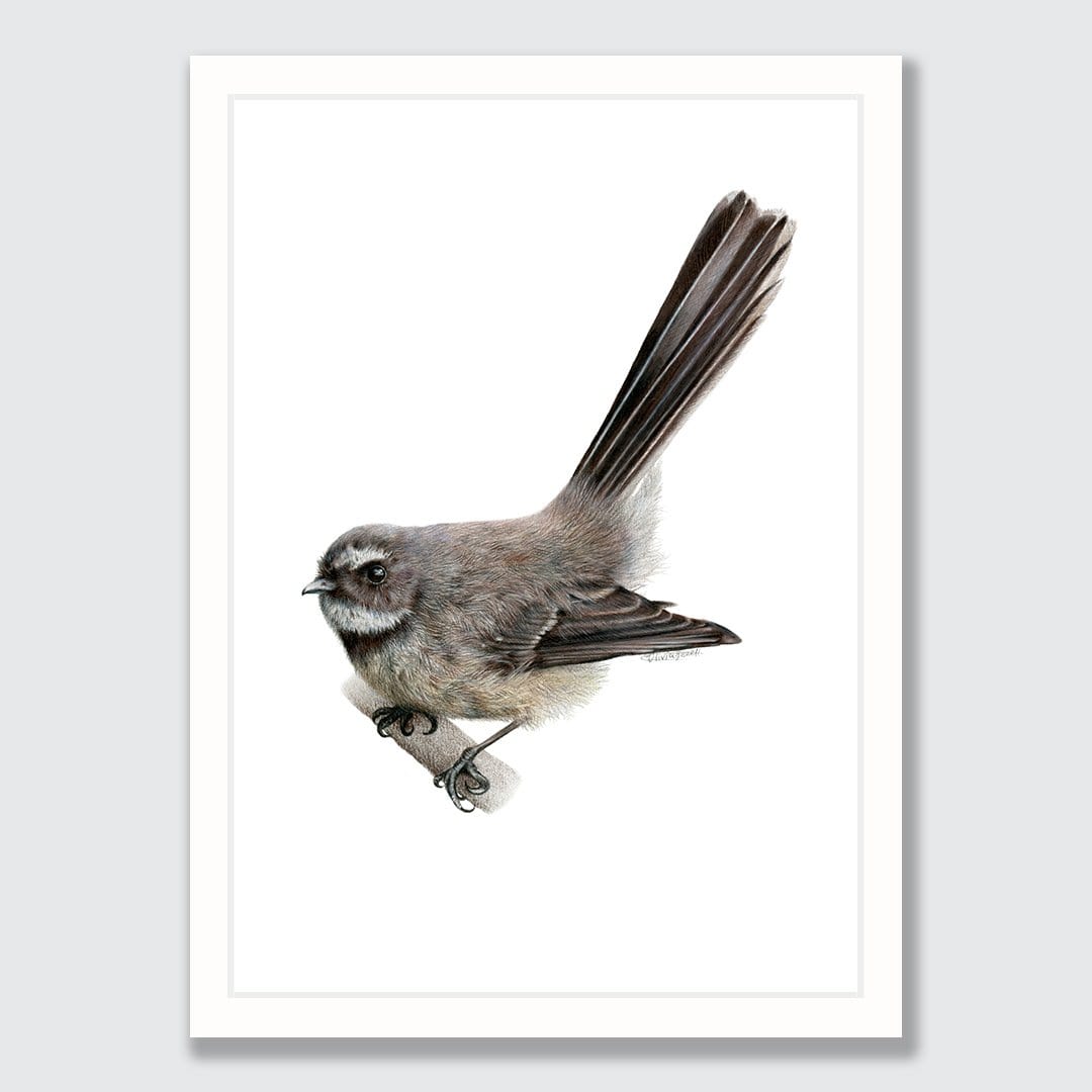 Fantail Art Print by Olivia Bezett