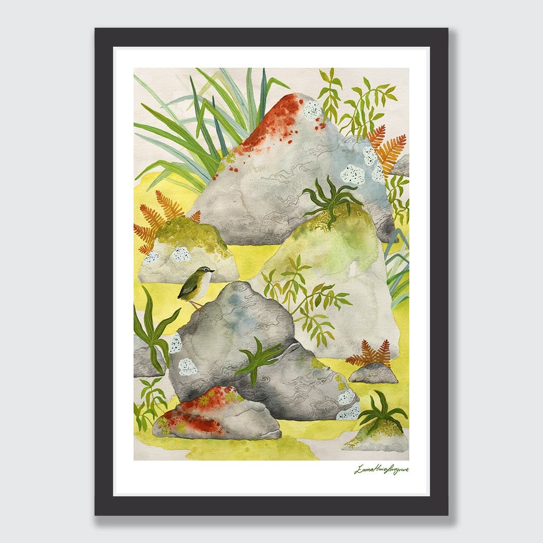 A bright and fresh watercolour print of a Wren perched on a rock in the beautiful Fiordland.