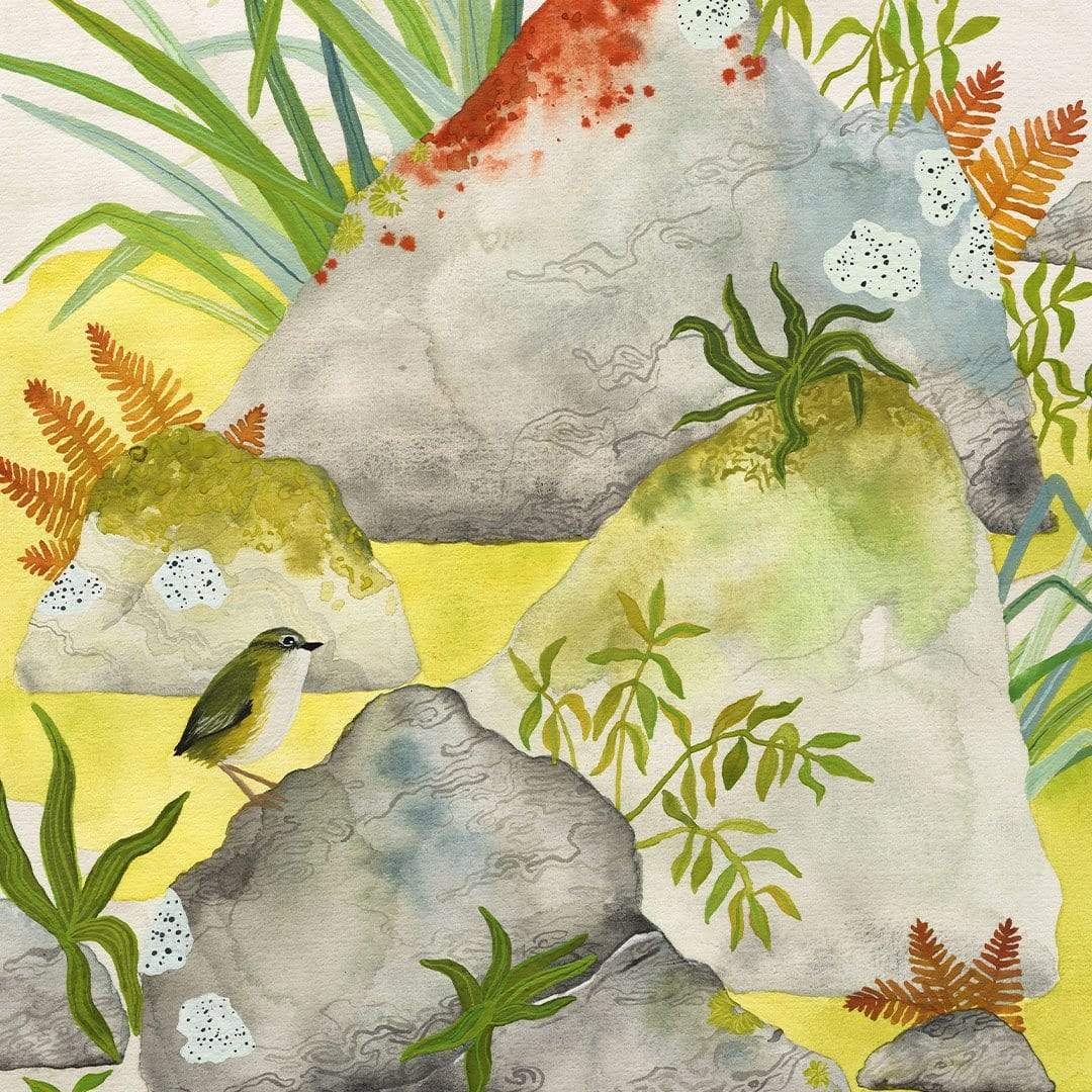 A bright and fresh watercolour print of a Wren perched on a rock in the beautiful Fiordland.