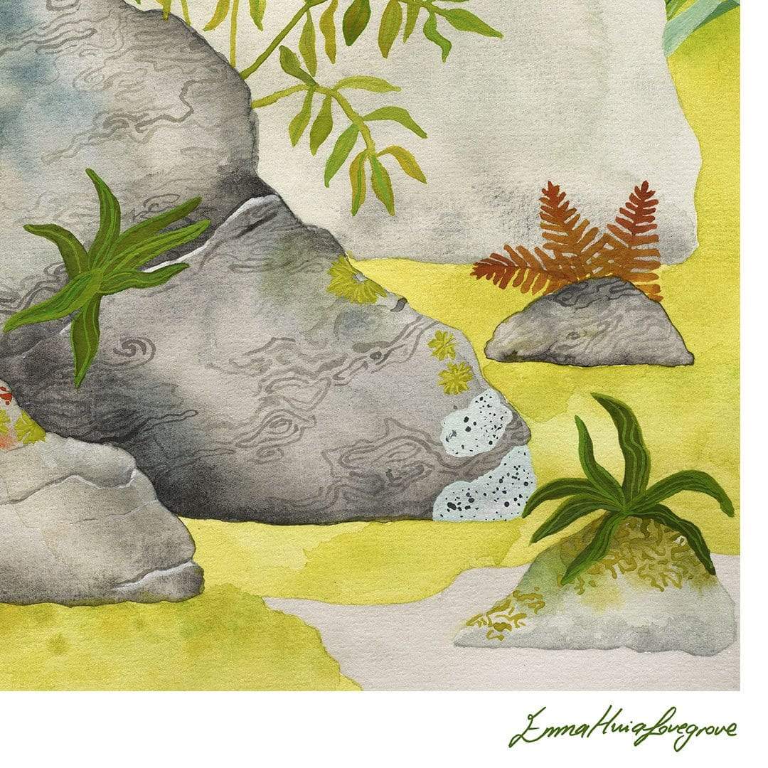A bright and fresh watercolour print of a Wren perched on a rock in the beautiful Fiordland.