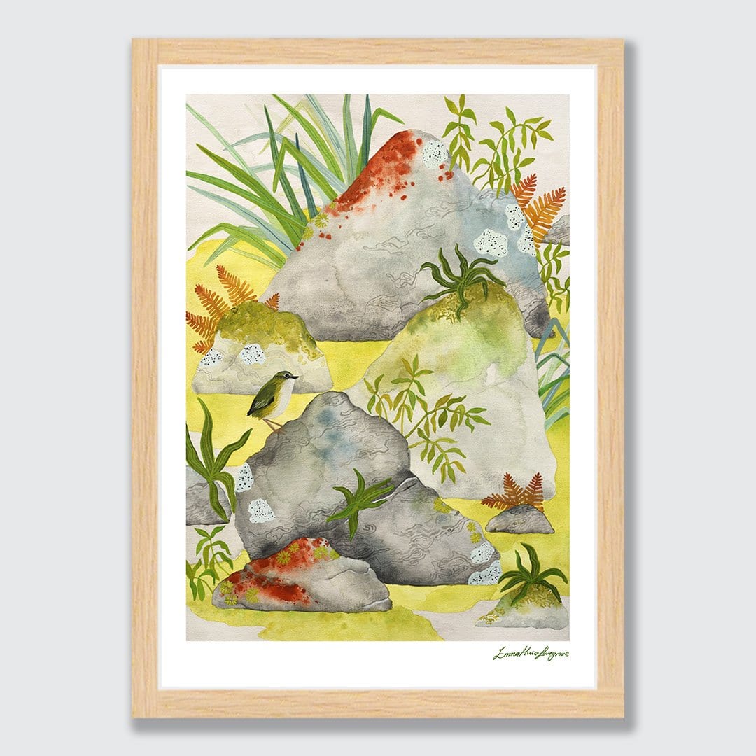 A bright and fresh watercolour print of a Wren perched on a rock in the beautiful Fiordland.