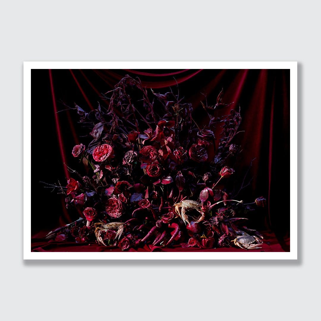 Sea Life, Florals and Red Citrus Photographic Print by Georgie Malyon
