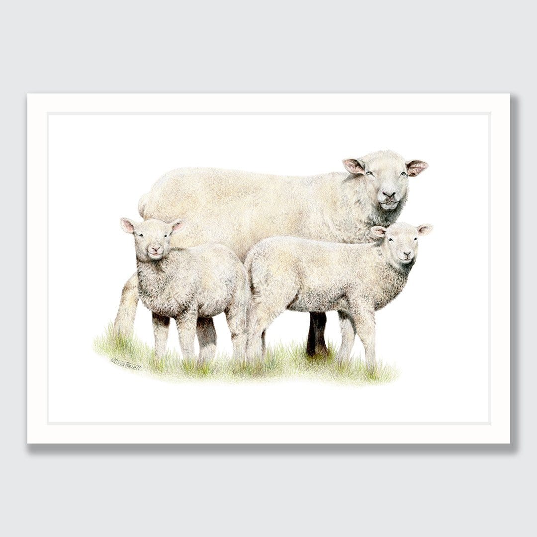 Sheep Family Art Print by Olivia Bezett