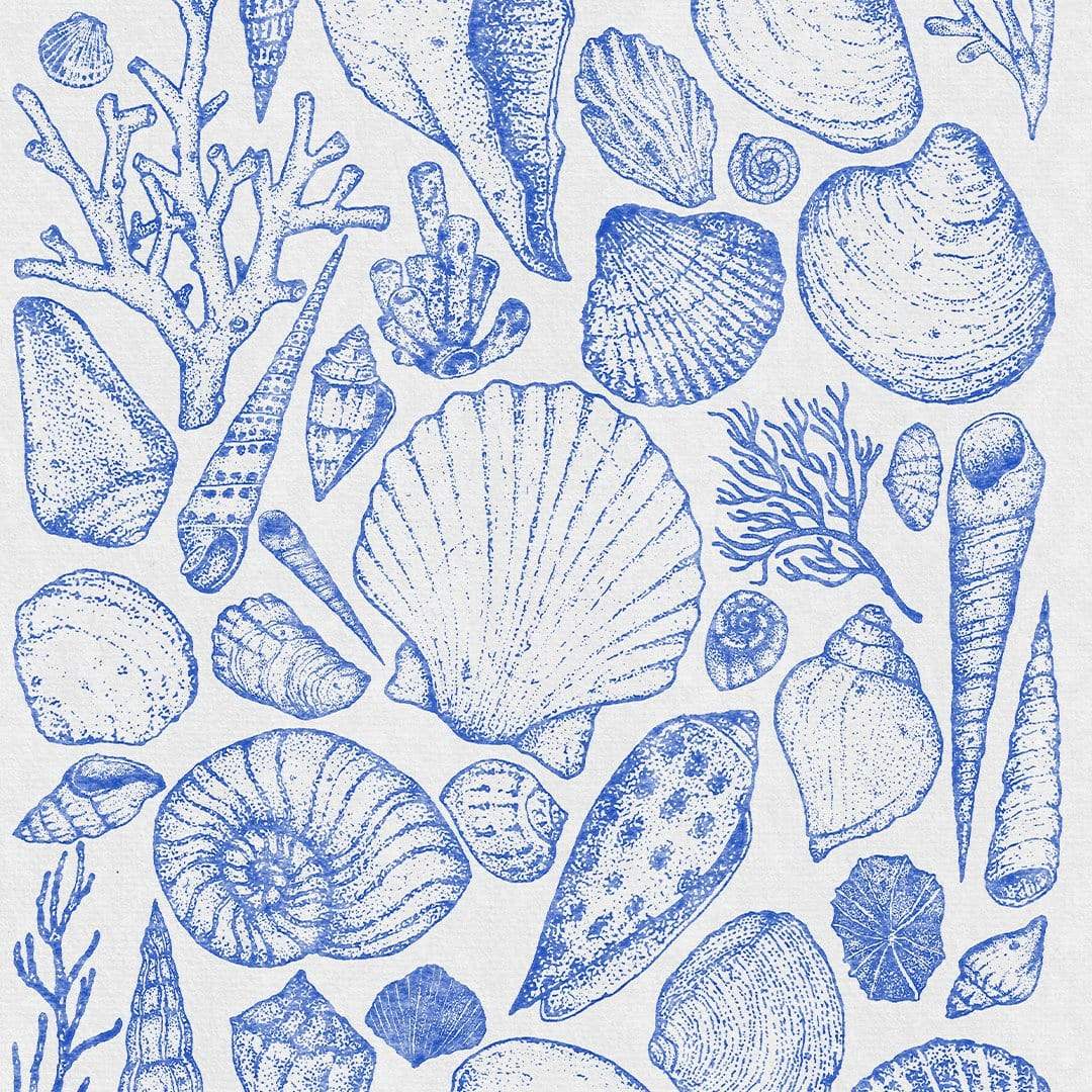 Shells Grey Art Print by Nathan Miller