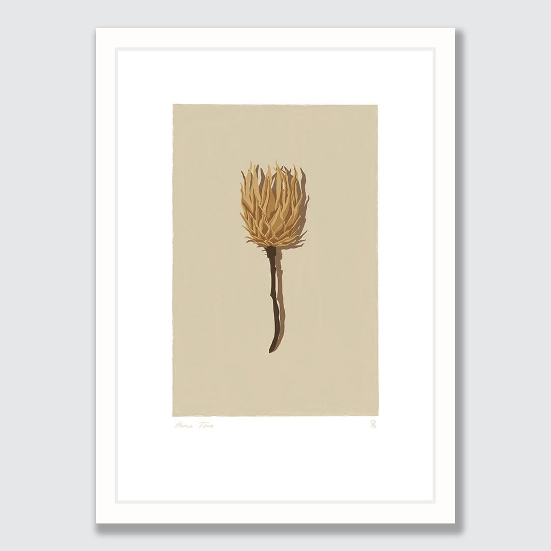 Single Dried Protea Art Print by Home Time