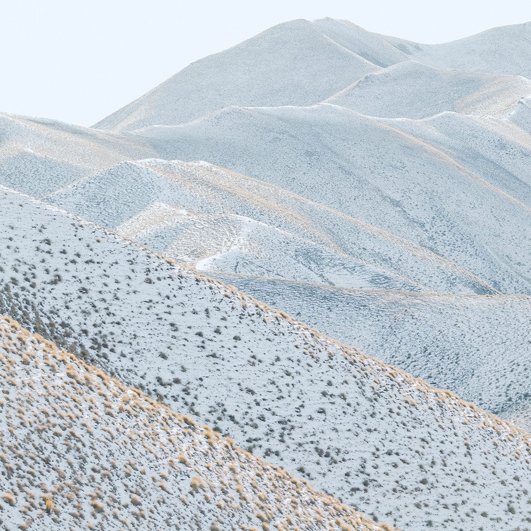 Snow Leopard Photographic Print by Emma Willetts