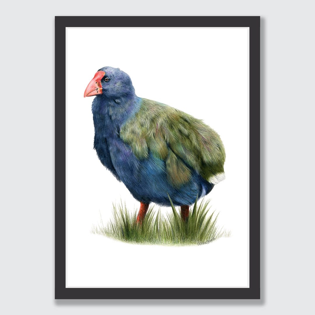 Takahē Art Print by Olivia Bezett