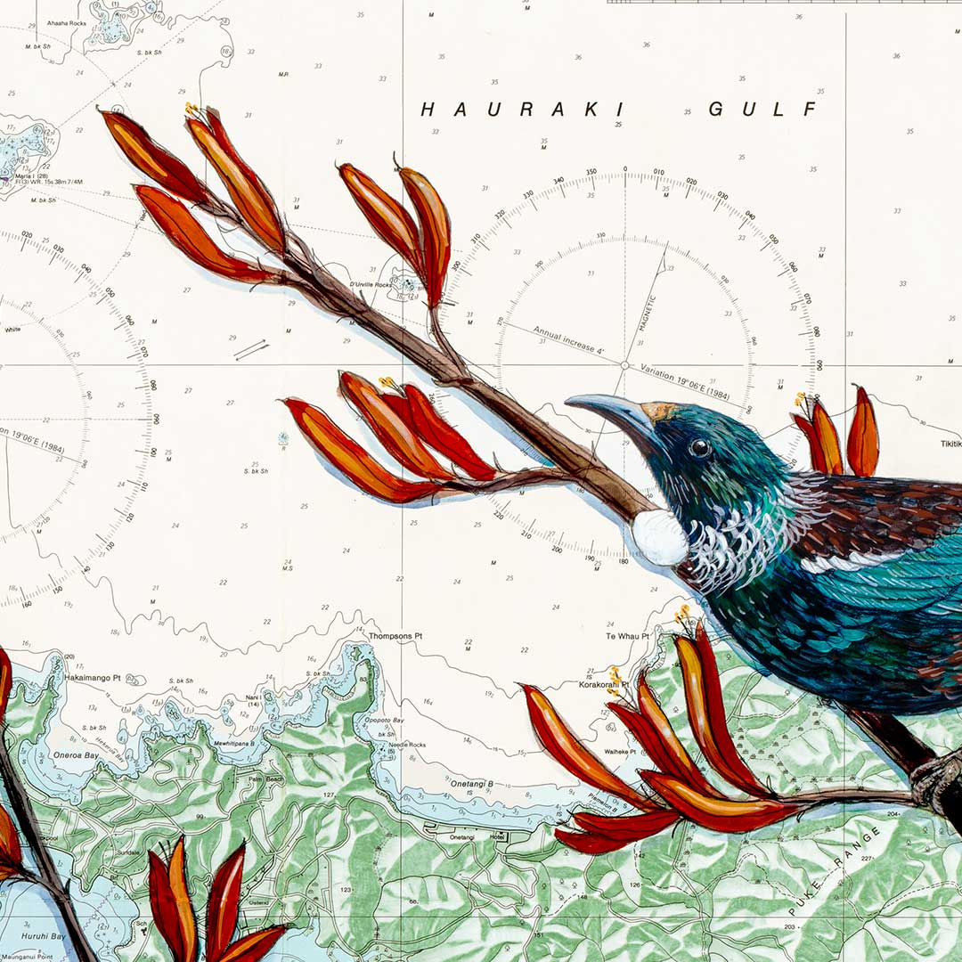 Tamaki Tui Art Print by Justine Hawksworth