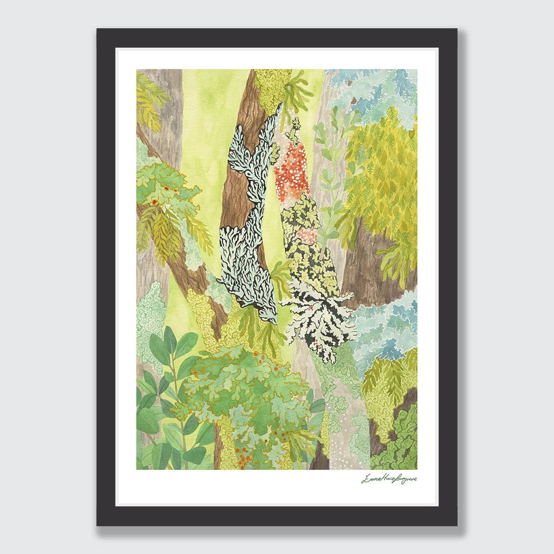Taranaki Falls Lichen Art Print by Emma Huia Lovegrove
