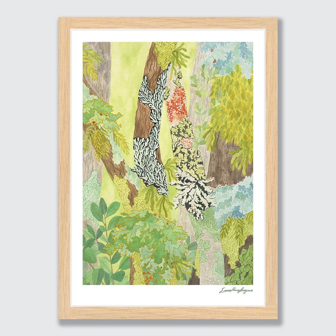 Taranaki Falls Lichen Art Print by Emma Huia Lovegrove