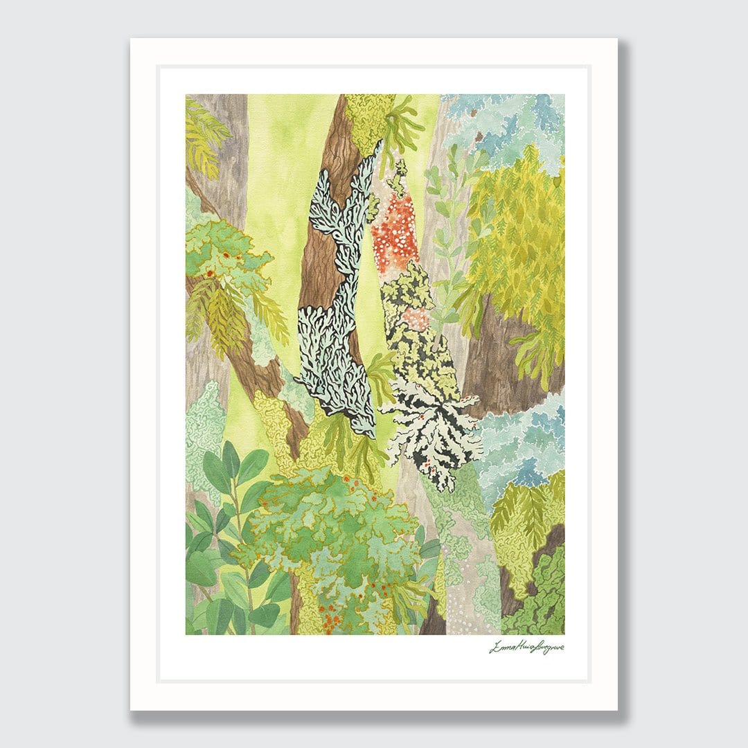 Taranaki Falls Lichen Art Print by Emma Huia Lovegrove