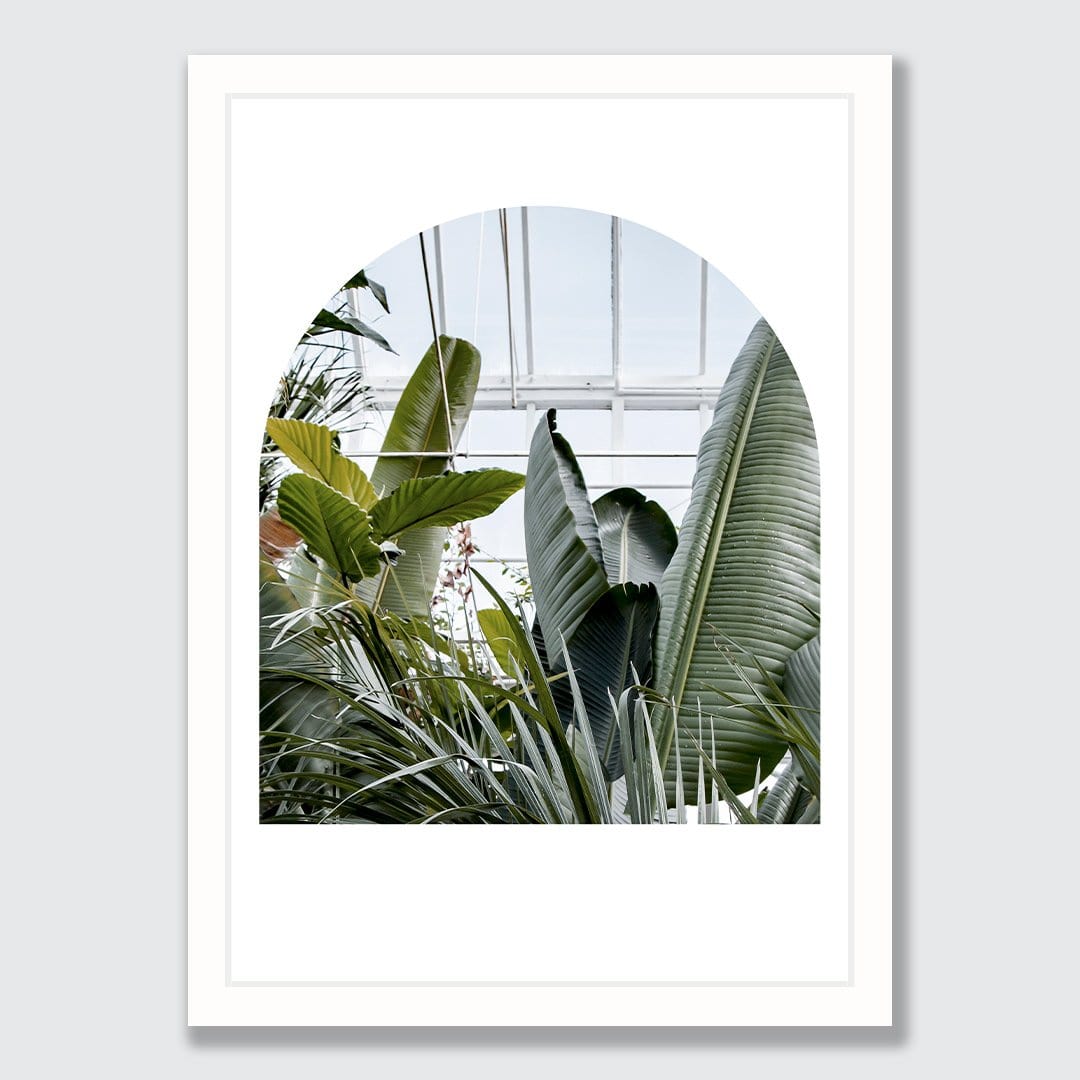 The Tropical House Photographic Print by Amy Wybrow