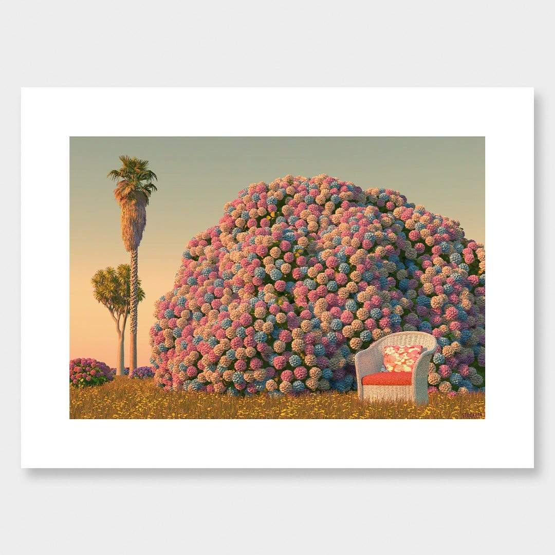 The World's Biggest Hydrangea Bush Art Print by Simon Stockley