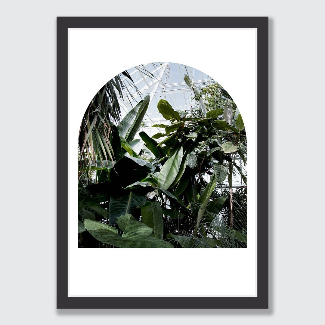 The Tropical House II Photographic Print by Amy Wybrow
