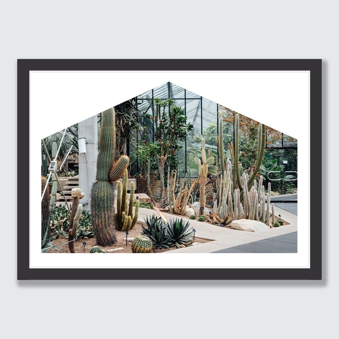 Tropics to Arid Lands Photographic Print by Amy Wybrow