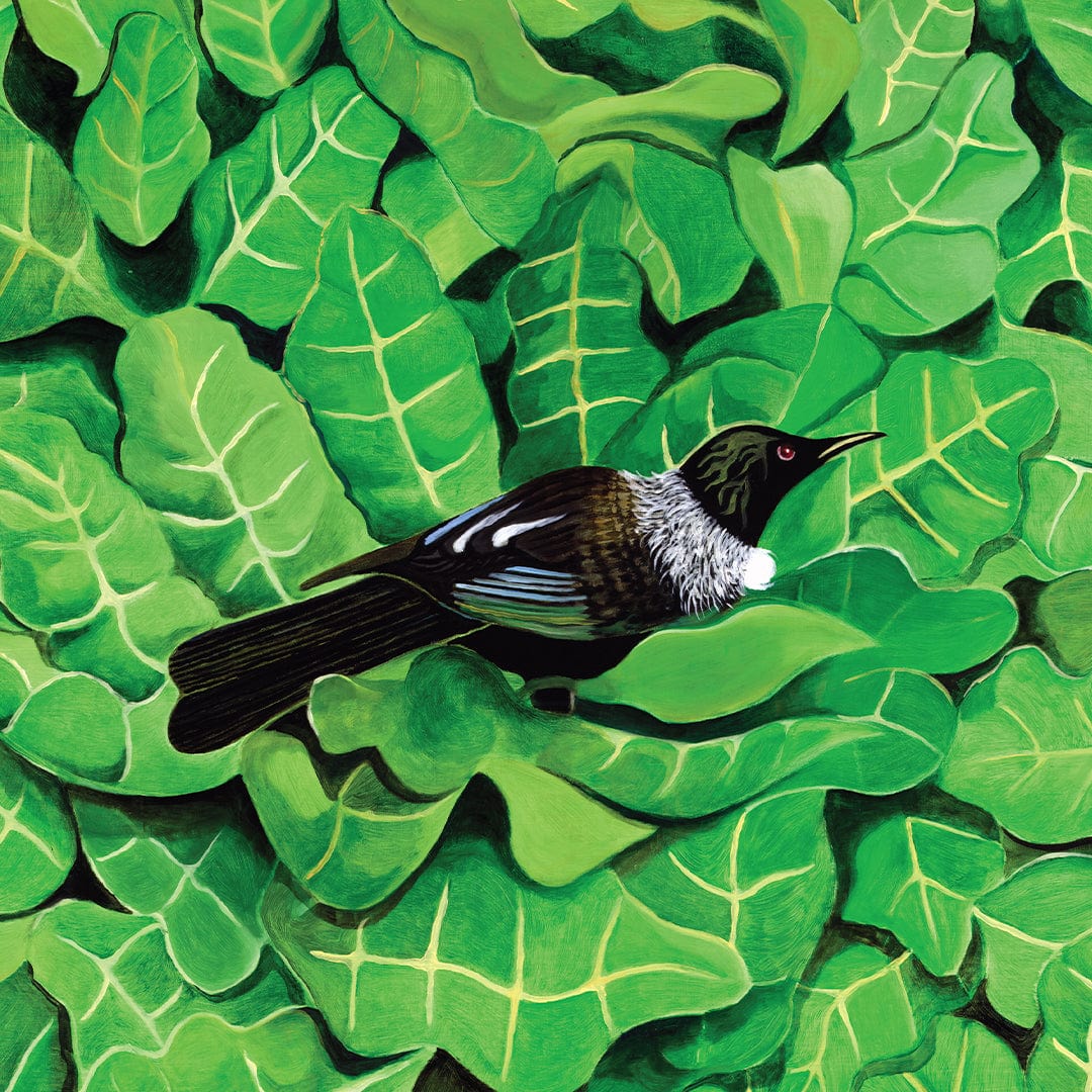 Tui in a Puka Art Print by Guy Harkness
