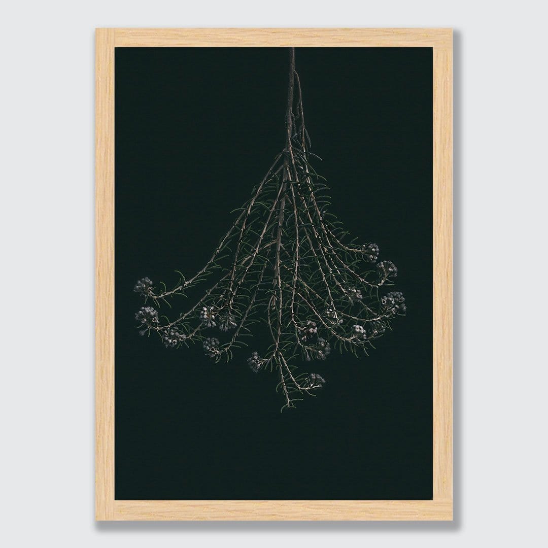 Wildflower Photographic Print by Maegan McDowell