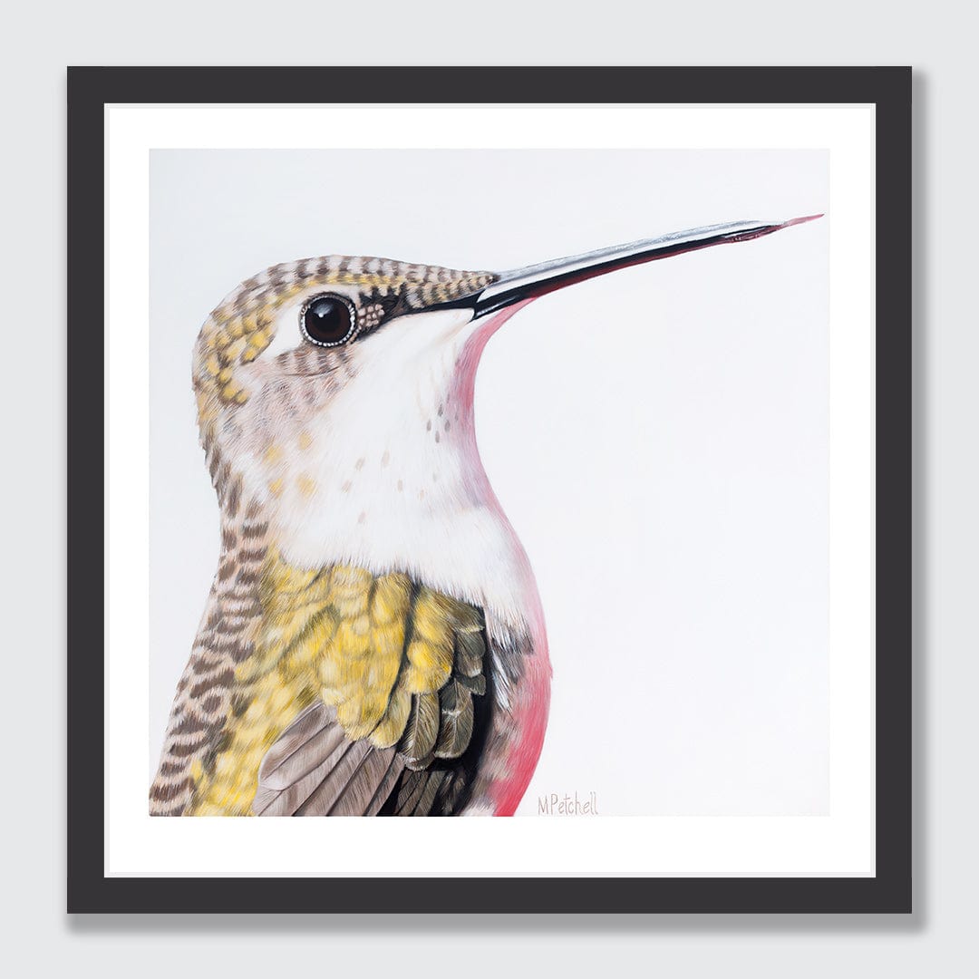 Ava Hummingbird Art Print by Margaret Petchell