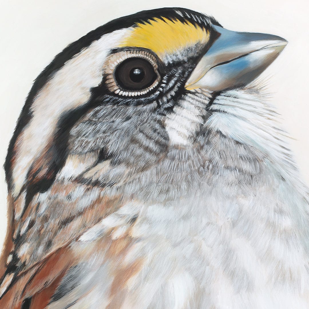 Bijou Sparrow Art Print by Margaret Petchell