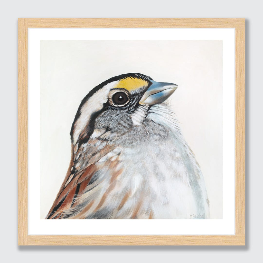 Bijou Sparrow Art Print by Margaret Petchell