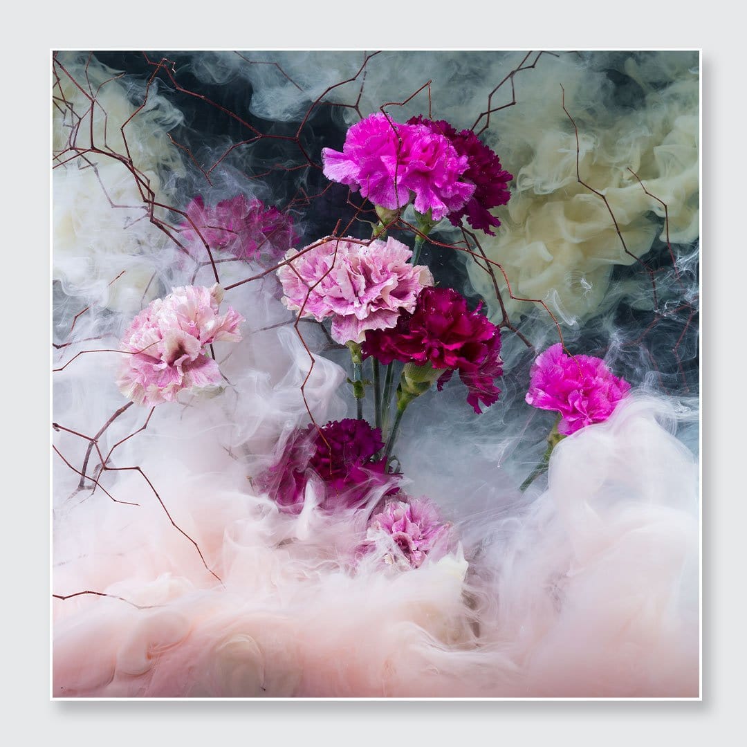 Carnations Photographic Print by Georgie Malyon