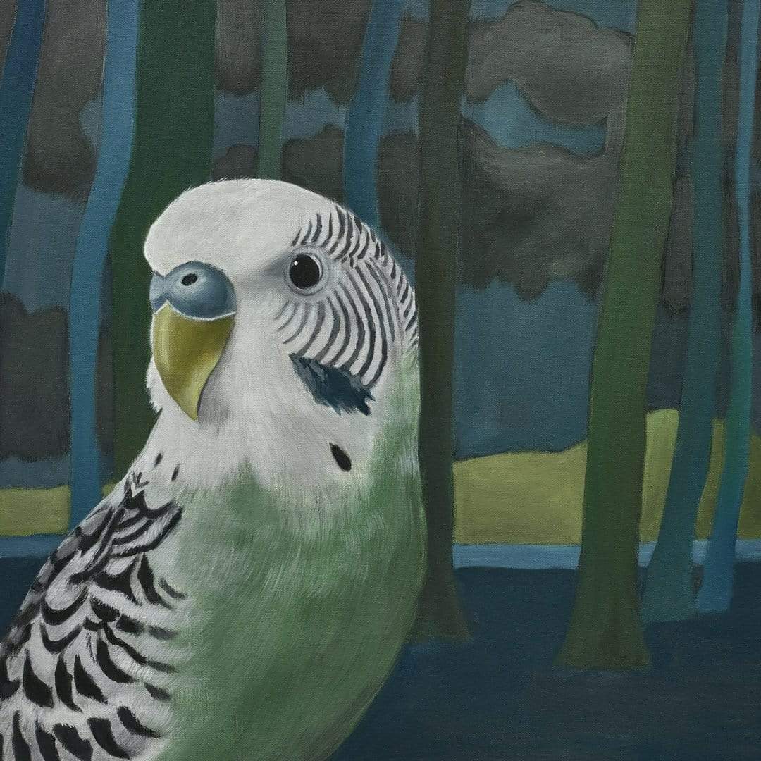 Ethyl Budgie Art Print by Margaret Petchell