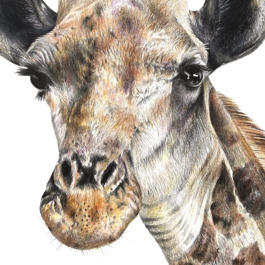 Giraffe Art Print by Olivia Bezett
