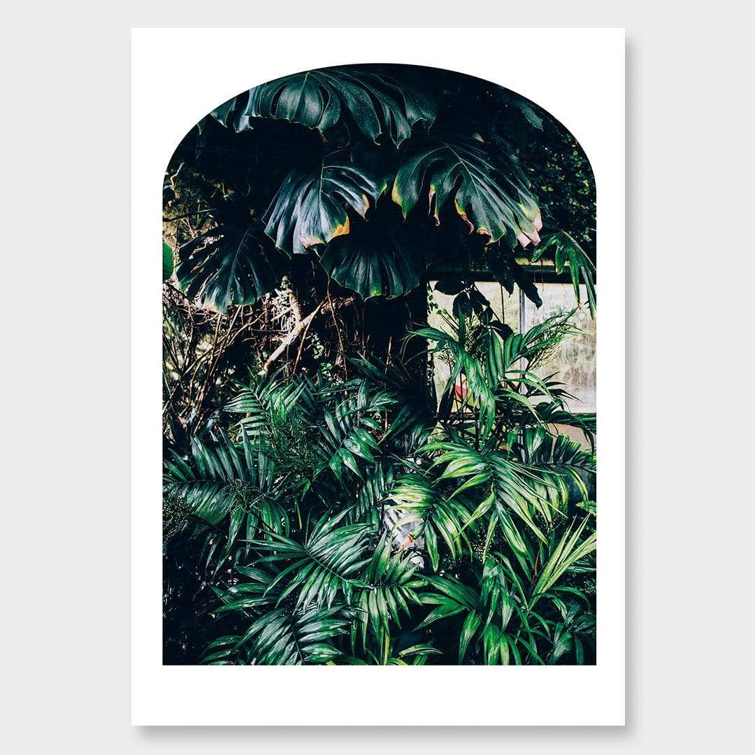 Green and Gold No3 Photographic Print by Amy Wybrow
