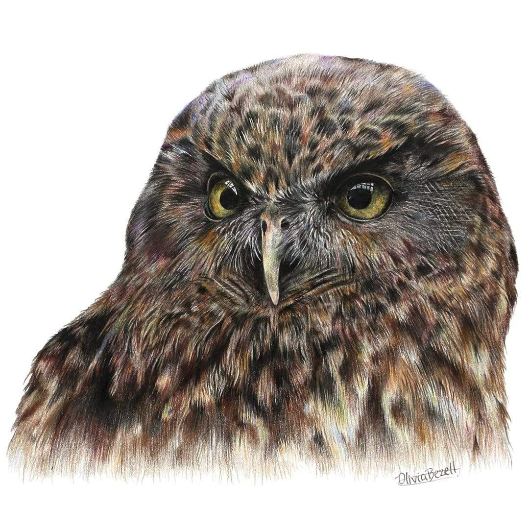 Morepork Art Print by Olivia Bezett
