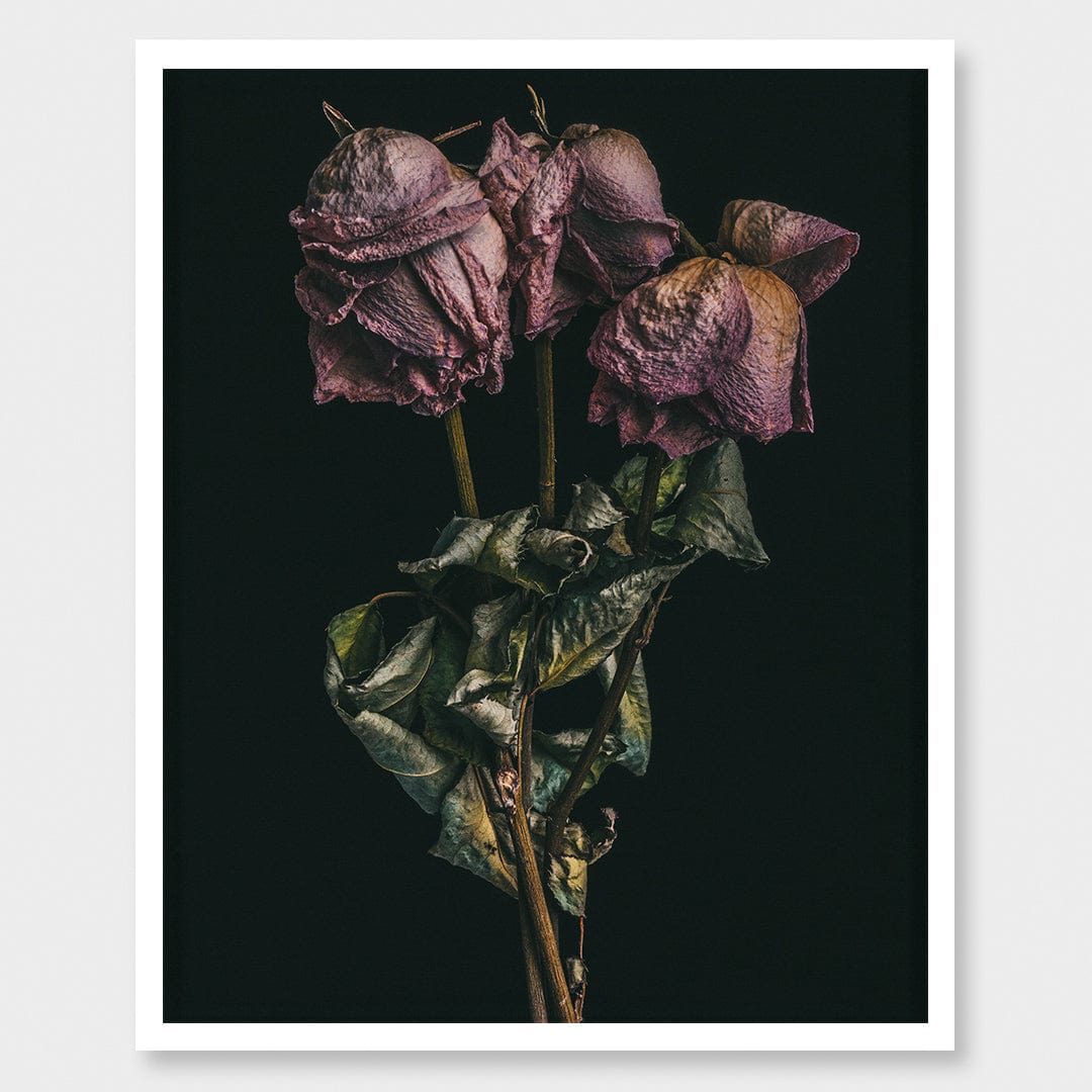 No. 10 Photographic Print by Maegan McDowell