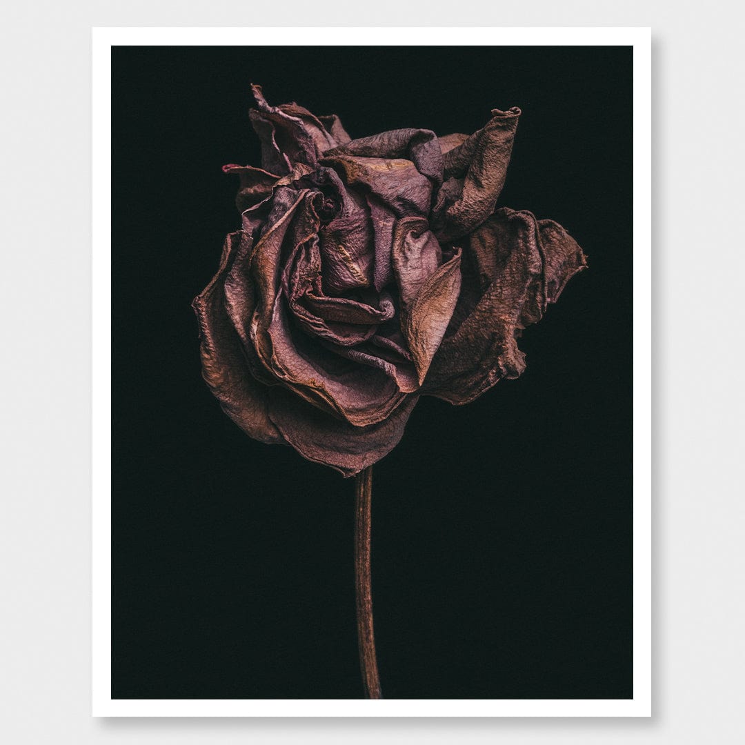 No. 2 Photographic Print by Maegan McDowell