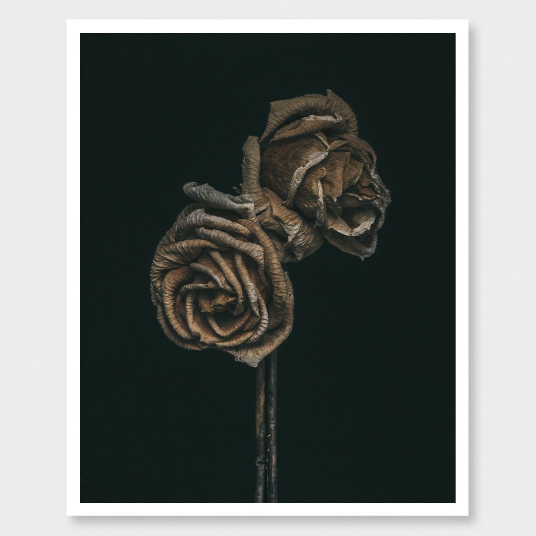 No. 3 Photographic Print by Maegan McDowell