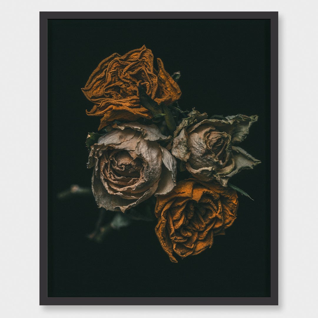 No. 6 Photographic Print by Maegan McDowell